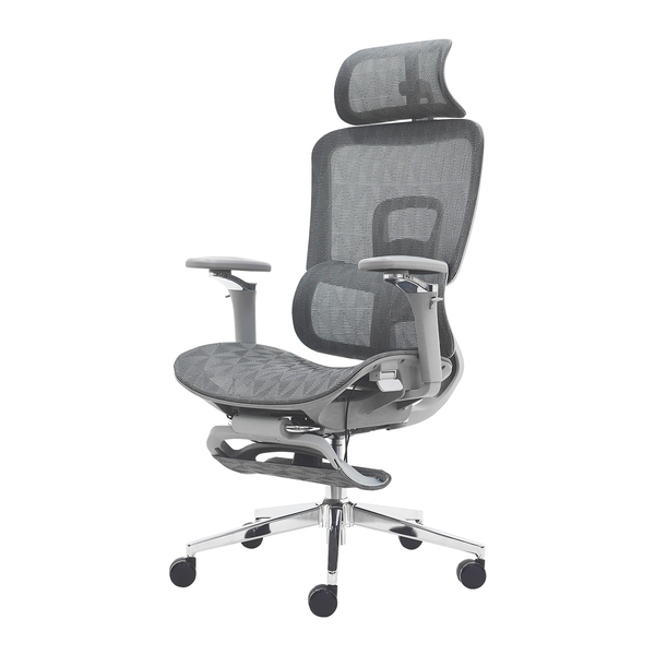 Cadeira Ergonômica Office